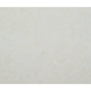 Stone USA C Fossil – Medieval Textured 16×24 TM 02-3130