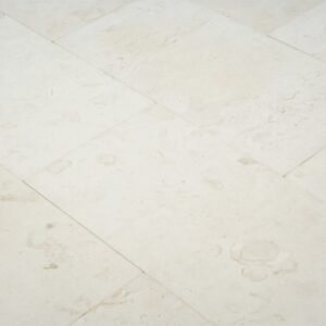 Stone USA Corinthian Fossil Honed & Straight 24×24 TM 02-2319