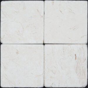 Stone USA Corinthian Fossil Tumbled 4×4 TM 02-2422